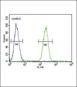 Anti-GIPR Rabbit Polyclonal Antibody