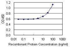 Anti-HMHA1 Mouse Monoclonal Antibody [clone: 4H7]