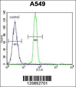 Anti-CREB1 Rabbit Polyclonal Antibody (APC (Allophycocyanin))