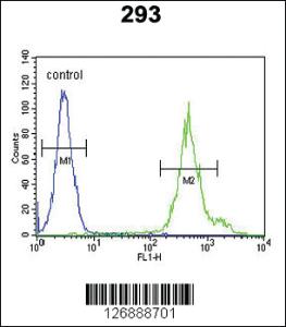 Anti-KLC3 Rabbit Polyclonal Antibody