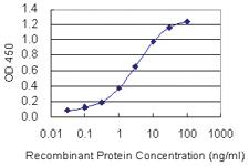 Anti-PLA2G10 Mouse Monoclonal Antibody [clone: 5G11]