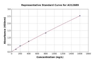 Representative standard curve for Human CYP11B1 ELISA kit (A312689)