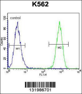 Anti-TAF4B Rabbit Polyclonal Antibody (HRP (Horseradish Peroxidase))