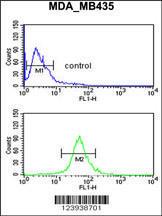 Anti-GABRD Rabbit Polyclonal Antibody