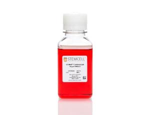 STEMdiff™ Cardiomyocyte Support medium