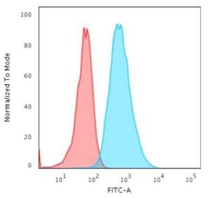 Flow cytometric analysis of HeLa cells using Anti-Cytokeratin 7 Antibody [OV-TL12/30] followed by Goat Anti-Mouse IgG (CF&#174; 488) (Blue). Isotype Control (Red)