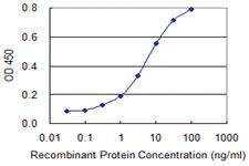 Anti-ZNF281 Mouse Monoclonal Antibody [clone: 1C9]