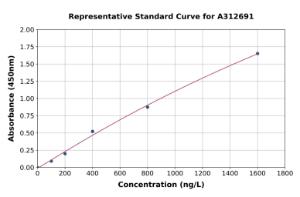 Representative standard curve for Human RED ELISA kit (A312691)