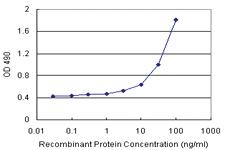 Anti-CREM Polyclonal Antibody Pair