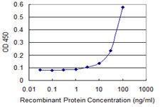 Anti-ERBB3 Mouse Monoclonal Antibody [clone: 2E9]