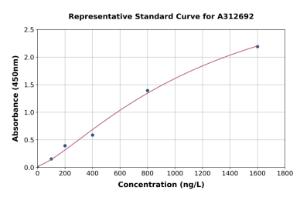 Representative standard curve for Human P2X7 ELISA kit (A312692)