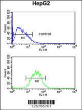 Anti-PR38A Rabbit Polyclonal Antibody (Biotin)