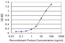 Anti-PIK3C2A Mouse Monoclonal Antibody [clone: 3E7]