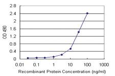 Anti-SMAD3 Mouse Monoclonal Antibody (Biotin)