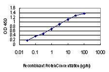 Anti-MAP Kinase 3 Mouse Monoclonal Antibody [clone: 3C9]