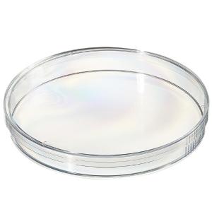 Sterilin petri dish