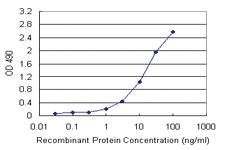 Anti-SMAD3 Mouse Monoclonal Antibody (Biotin)