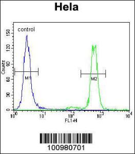 Anti-MAPK3 Rabbit Polyclonal Antibody