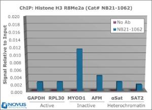 Anti-HIST3H3 Rabbit Polyclonal Antibody