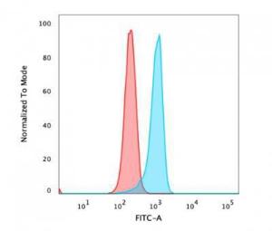 Flow cytometric analysis of PFA fixed HeLa cells using Anti-beta Catenin Antibody [5H10] followed by Goat Anti-Mouse IgG (CF&#174; 488) (Blue). Isotype Control (Red)