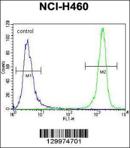 Anti-PRAMEF8 Rabbit Polyclonal Antibody (APC (Allophycocyanin))