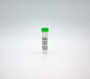 SEEBRIGHT® green 496 dUTP (lyophilized)