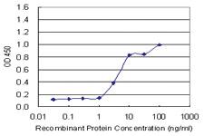 Anti-CDH11 Mouse Monoclonal Antibody [clone: 3C8]