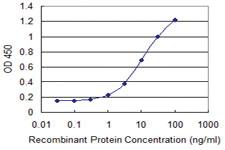 Anti-SEC14L2 Mouse Monoclonal Antibody [clone: 2E5]