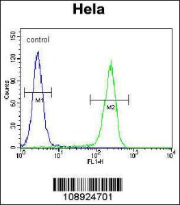 Anti-CRFR2D Rabbit Polyclonal Antibody (FITC (Fluorescein Isothiocyanate))