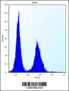 Anti-DNAJC9 Rabbit Polyclonal Antibody (AP (Alkaline Phosphatase))