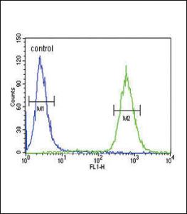 Anti-Glial Derived Neurotrophic Factor Rabbit Polyclonal Antibody (AP (Alkaline Phosphatase))