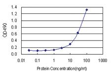 Anti-PYCR1 Polyclonal Antibody Pair