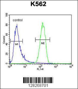 Anti-GAGE13 Rabbit Polyclonal Antibody (AP (Alkaline Phosphatase))