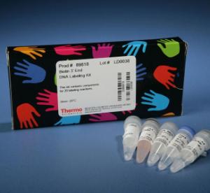 Pierce™ Biotin 3' End DNA Labelling Kit