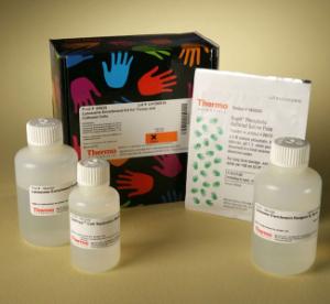 Organelle enrichment kits