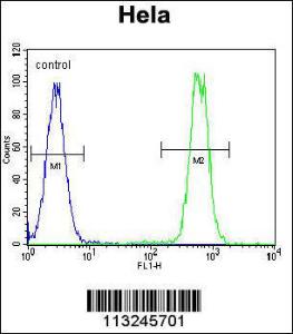 Anti-MAP Kinase 14 Rabbit Polyclonal Antibody (PE (Phycoerythrin))