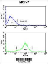 Anti-MAPK8IP1 Rabbit Polyclonal Antibody (FITC (Fluorescein))