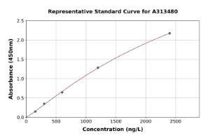 Representative standard curve for human Profilin 1 ELISA kit (A313480)