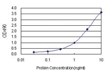 Anti-E4F1 Polyclonal Antibody Pair