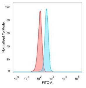 Flow cytometric analysis of PFA-fixed HeLa cells using Anti-ZNF704 Antibody [PCRP-ZNF704-3C10] followed by Goat Anti-Mouse IgG (CFand#174; 488) (Blue). Isotype Control (Red)