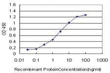 Anti-ING1 Mouse Monoclonal Antibody [clone: 3E7]