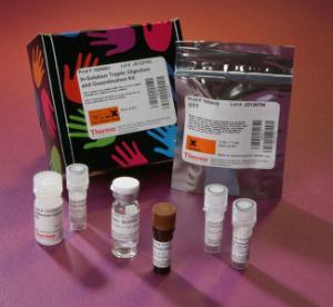 Pierce™ In-solution Tryptic Digestion and Guanidination Kit