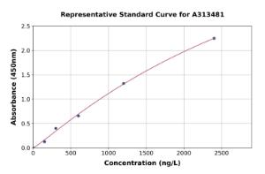 Representative standard curve for human LOXL2 ELISA kit (A313481)