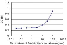 Anti-RLN1 Antibody Pair