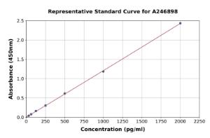 Representative standard curve for Human Sumo 1 ELISA kit (A246898)