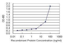 Anti-TNFRSF10B Mouse Monoclonal Antibody (Biotin)