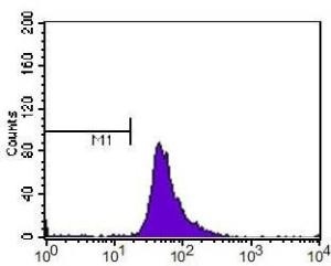 Anti-EPAS1 Mouse monoclonal antibody unconjugated [clone: ep190b]