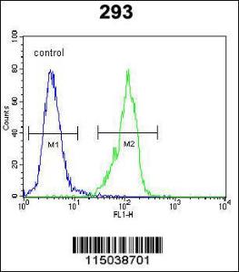 Anti-GAL Rabbit Polyclonal Antibody