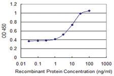 Anti-IKZF5 Mouse Monoclonal Antibody [clone: 1B6]