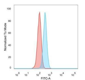 Flow cytometric analysis of PFA fixed HeLa cells using Anti-ZNF622 Antibody [PCRP-ZNF622-1C11] followed by Goat Anti-Mouse IgG (CF and #174; 488) (Blue). Unstained cells (red)